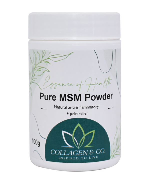 MSM Powder 100g Starter Tub